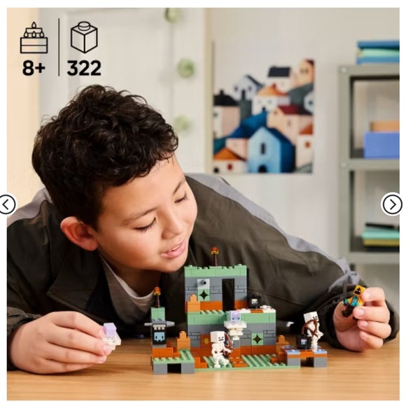 LEGO Minecraft Building Set - Picture 4 of 7